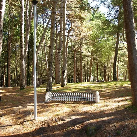 Alojamento de Acomodação e Pequeno-almoço Le Gorgonie Tortora