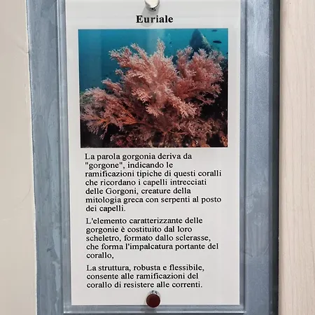 Le Gorgonie Bed & Breakfast